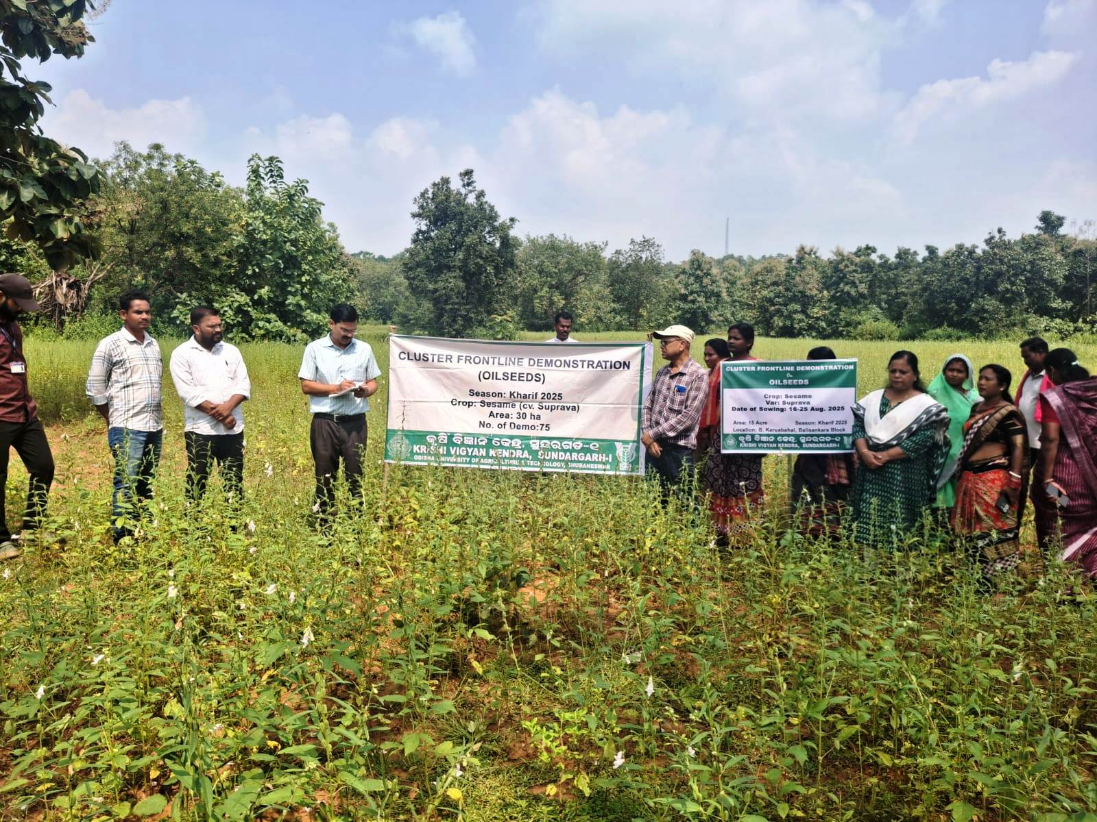 Visit of Dr. Mansingh to CFLD Demo Plots